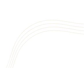 WebierTechnologies